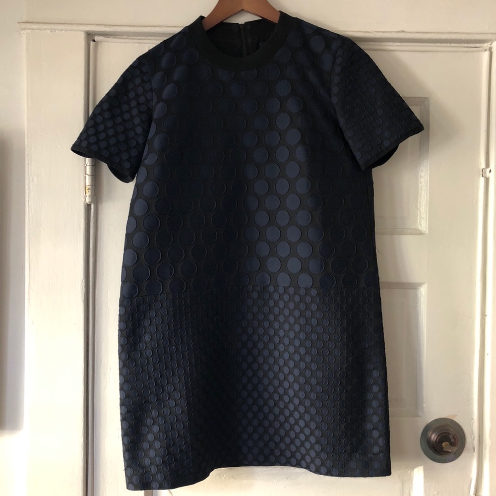 Madewell Mod Polka Dot Shift Dress